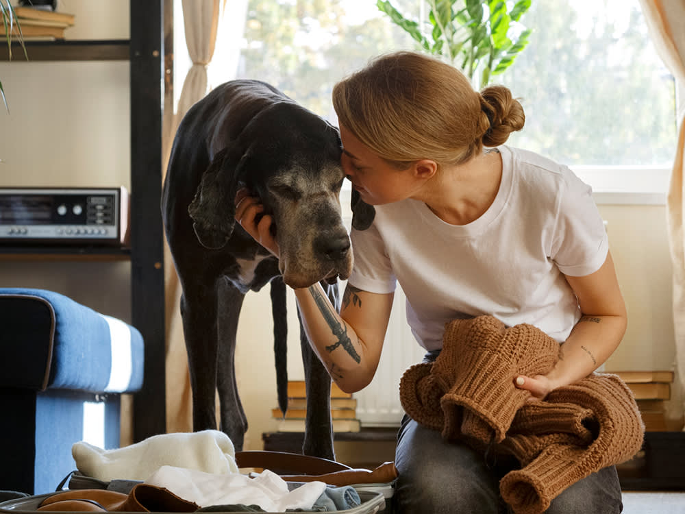Rehoming Isn't Surrender. Done Right, It's an Adoption You Run Yourself.