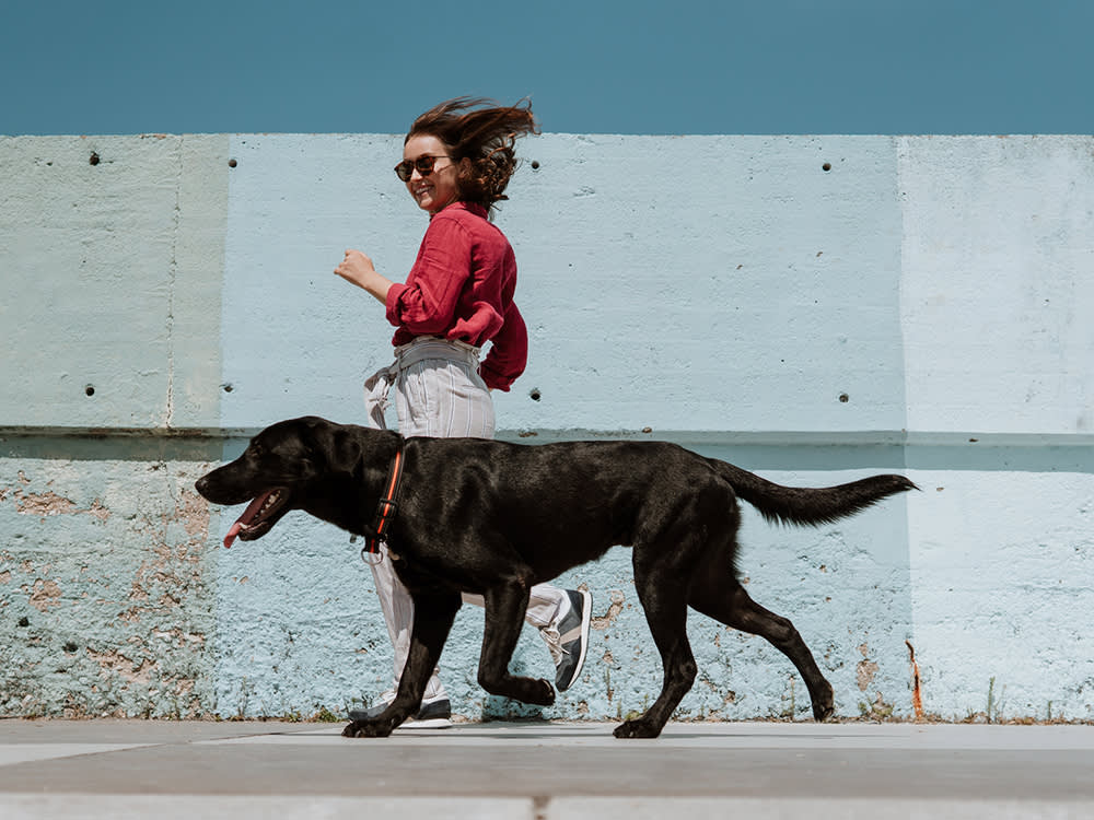 Your Dog Doesn't Need a Longer Walk. It Needs These 6 Running Games.