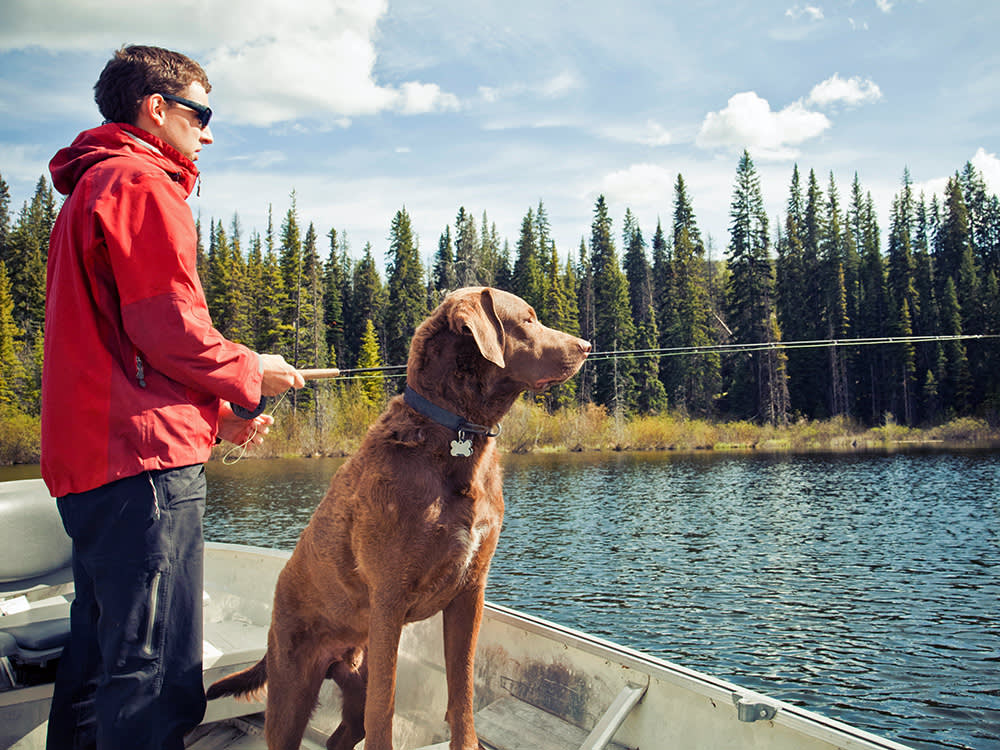 Cooked Salmon Is a Gift. Raw Fish From a Lake Can Kill Your Dog.
