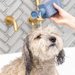 That 'Fresh Groom' Smell Is the Problem, Not the Perk