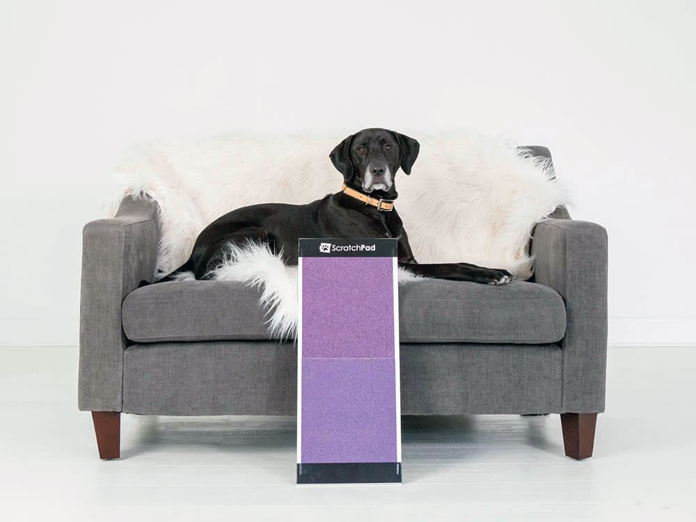 This $59 Board Lets Your Dog File Their Own Nails