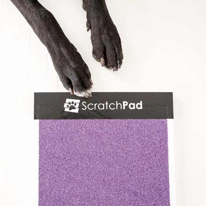 The ScratchPad dual-sided dog nail file, a tall board with a purple sanded surface.