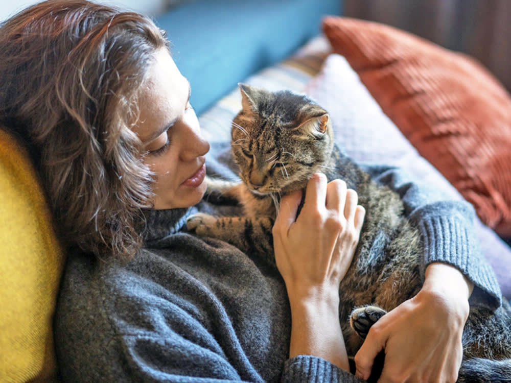 Your Senior Cat's 3 a.m. Yowling Might Be Dementia