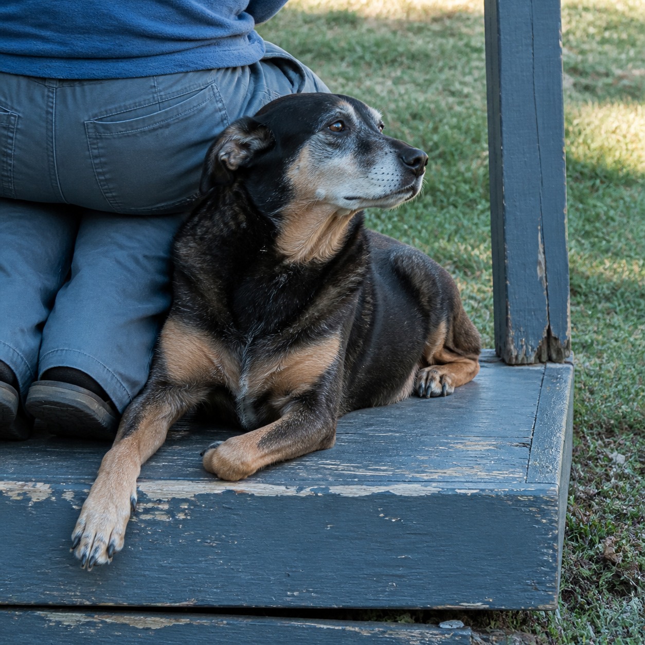 Their Pets Lived to 18. None of the Secrets Were Secret.