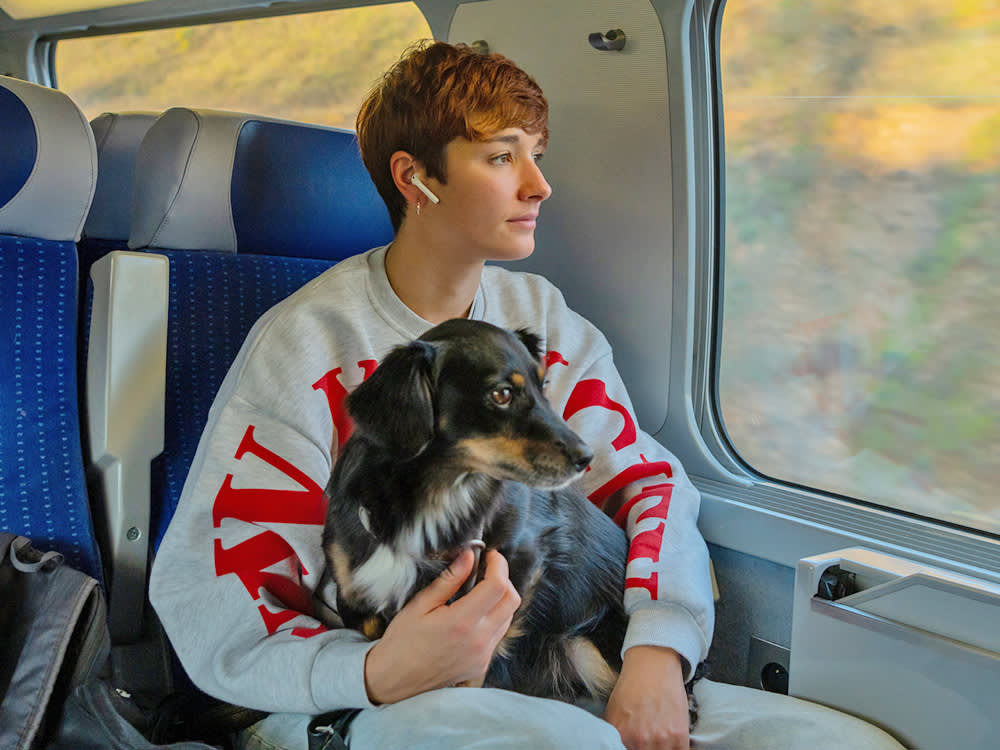 Service Dog or Emotional Support Animal for Anxiety? The Decision That Changes Everything