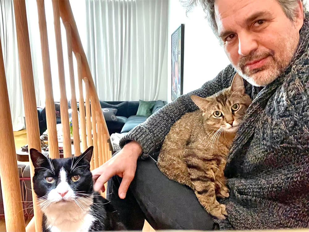 People Crowned a 'Sexiest Cat Dad,' and the Joke's Actually on Anyone Who Thinks It's a Joke