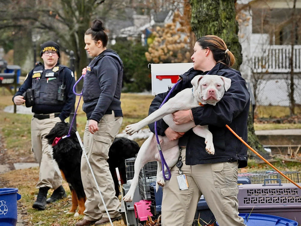 She Was Convicted of Torturing Animals. The Law Still Called Them Hers.