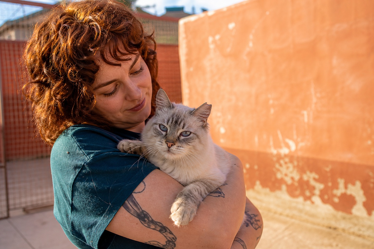 What a Year of Shelter Shifts Rewired in Me: 11 Lessons That Stuck