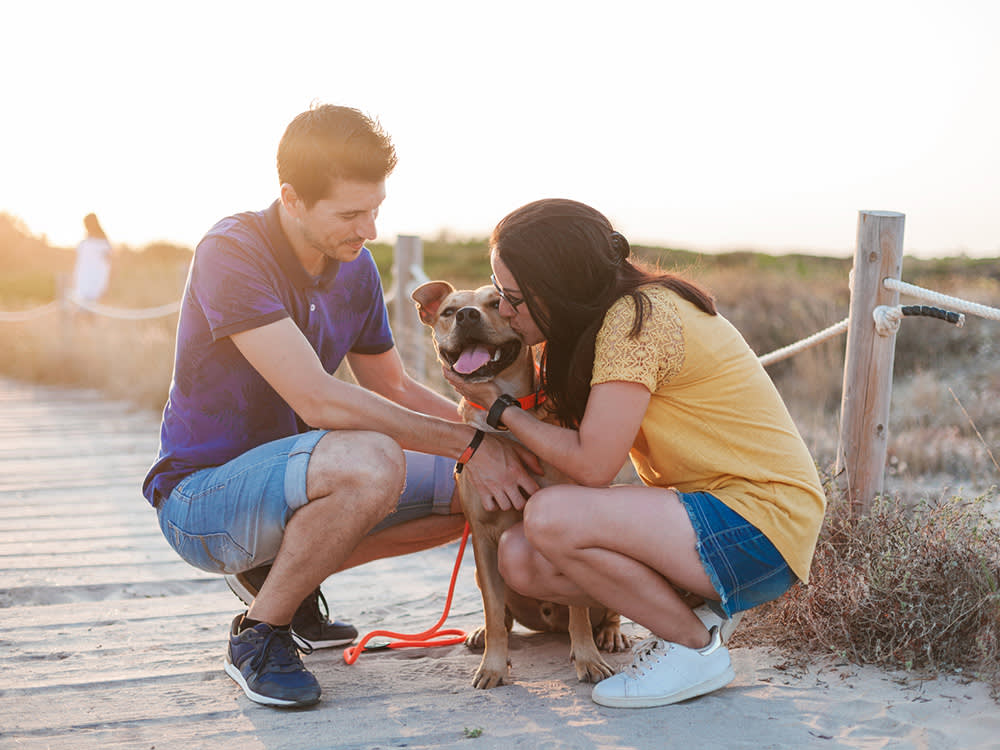 The Dogs Nobody Adopts Aren't Broken. Our Filters Are.