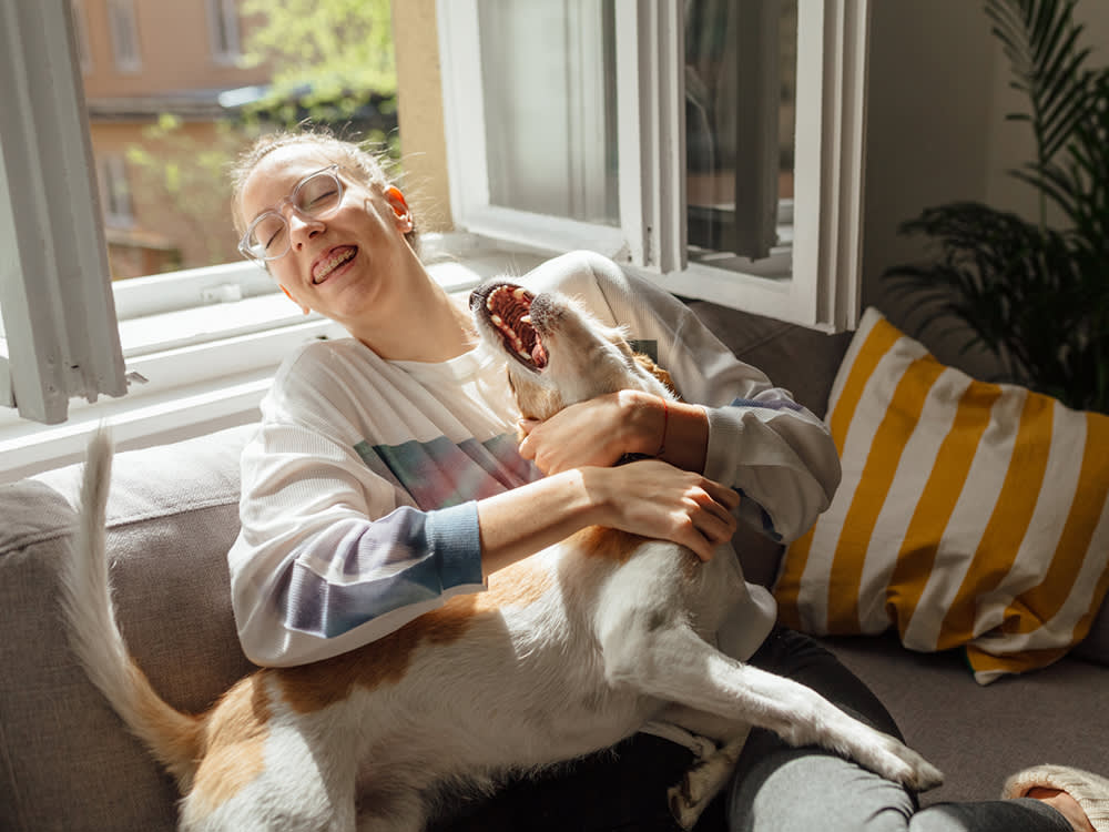 The Myths That Keep Perfectly Good Shelter Pets Waiting