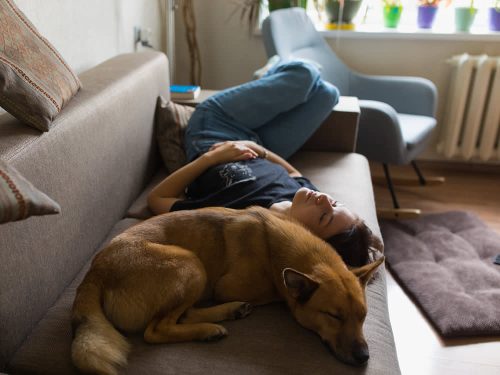 Letting Your Dog Sleep in Your Bed Isn't Spoiling Them. The Science Sides With You.