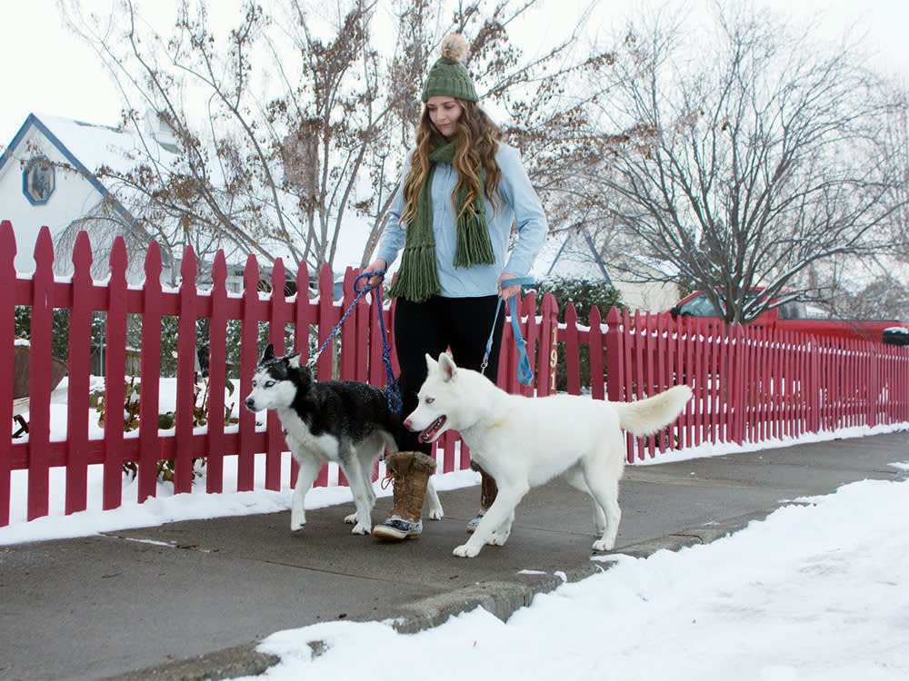 The Sidewalk Salt Burning Your Dog's Paws Can Also Poison Them