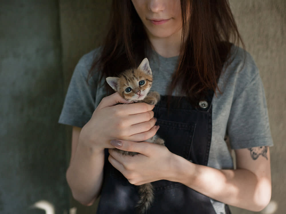 One Kitten Is Harder Than Two. Here's Why.