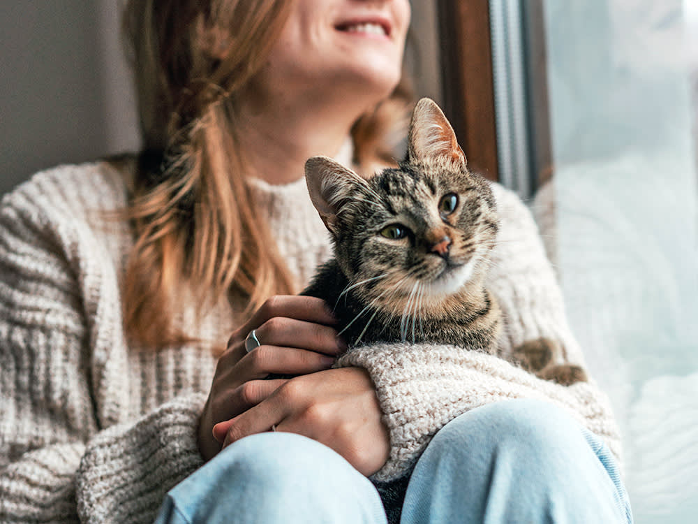 We Assumed Cats Couldn't Be Therapy Animals. We Were Screening for the Wrong Thing.