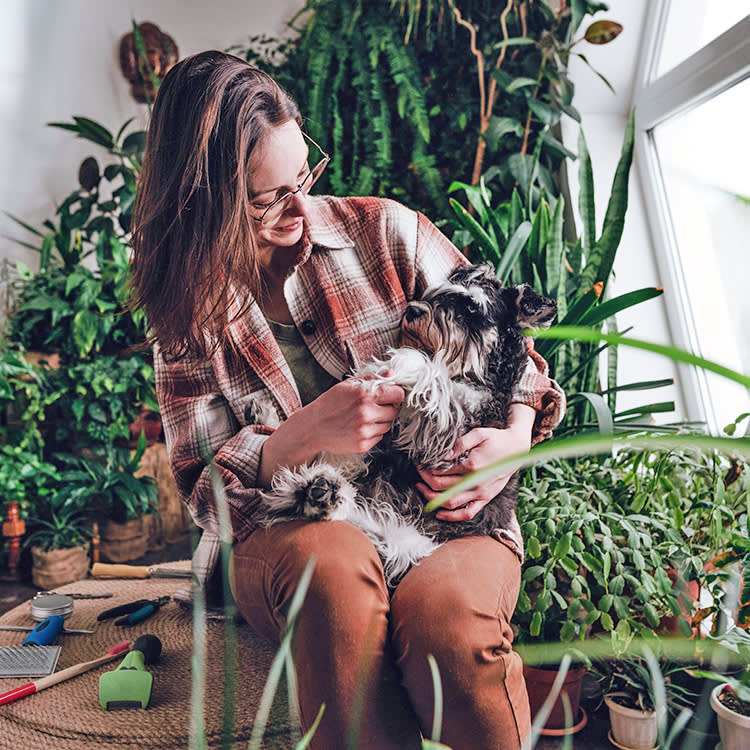 Your Spider Plant Is Safe for Your Dog. So Why Do They Keep Eating It?