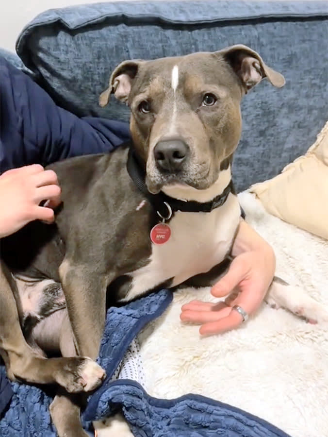 A Stranger Found Him Tied to a Bench in the Rain. A TikTok With 100 Followers Got Him Home.
