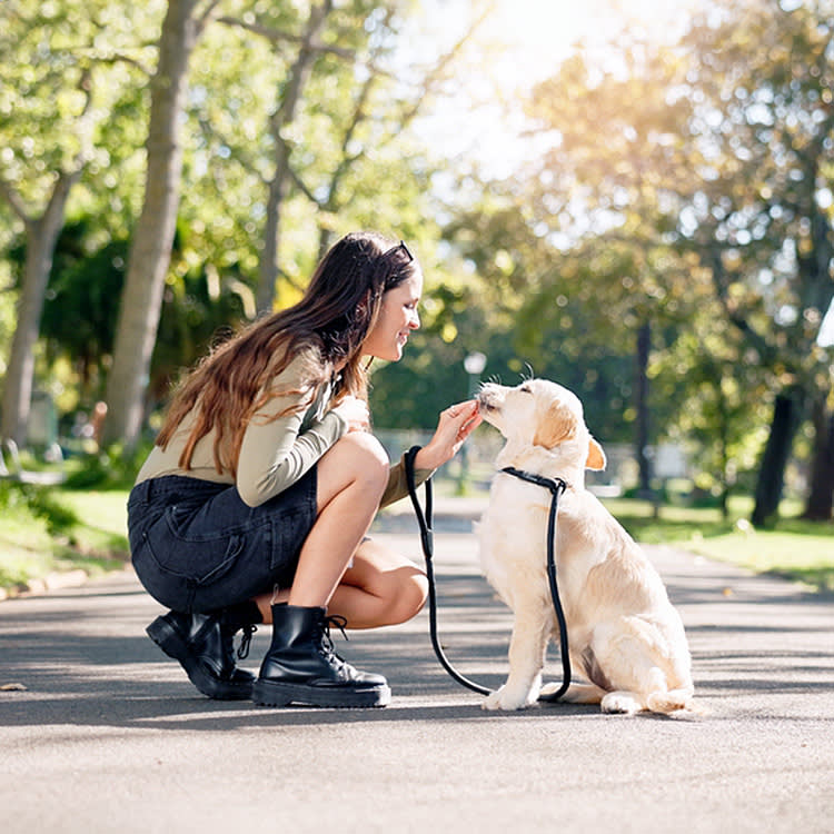 Stop Punishing Your Puppy. It's Backfiring.