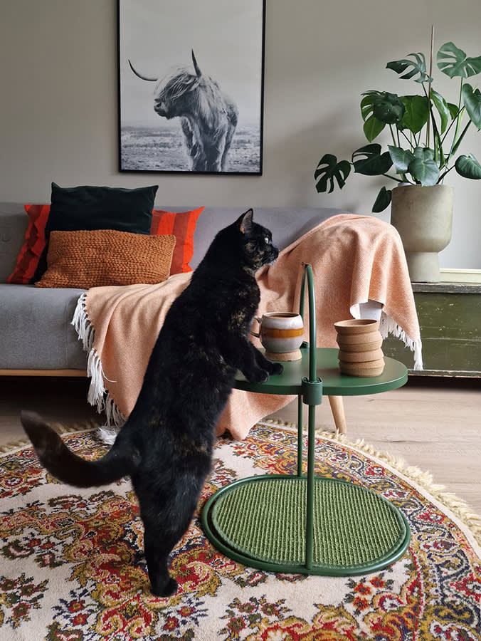 Your Cat Shreds the Couch Because Every Scratching Post Is an Eyesore
