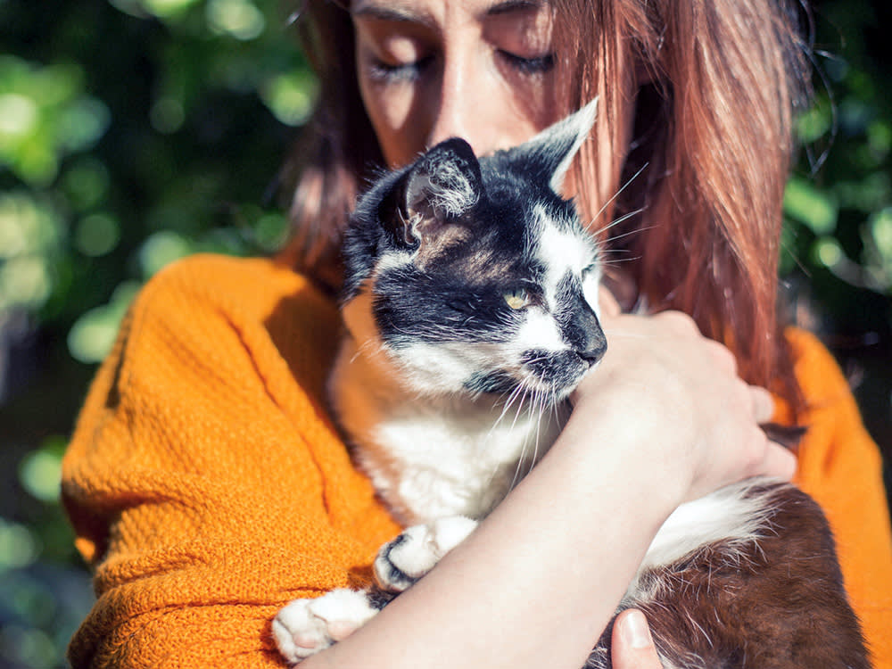 Your Cat Can't Taste Your Ice Cream: 11 Body Facts That All Trace to One Thing