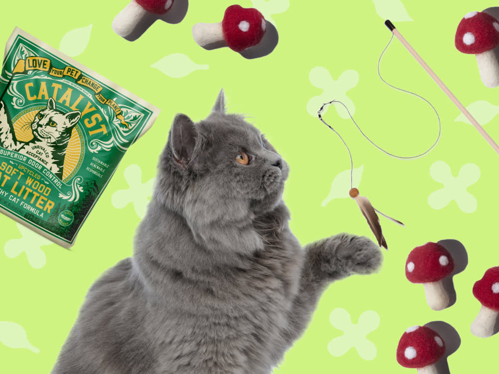 The Greenest Cat Toy Is the One Your Cat Doesn't Reject in a Week