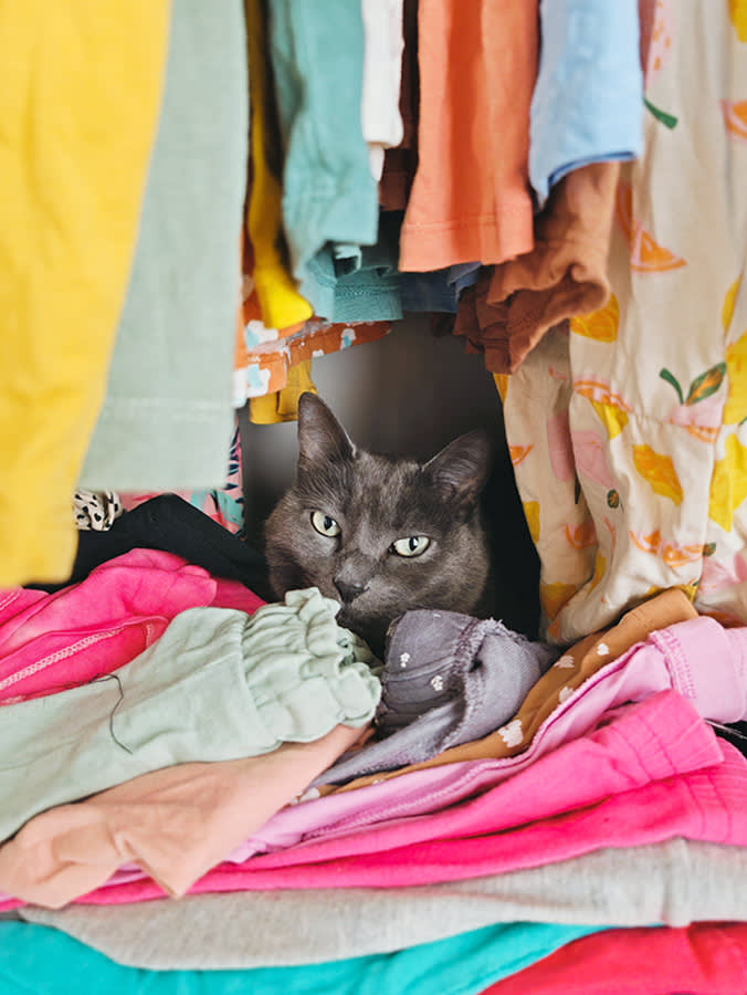 That Old Sweater Isn't Comforting Your Cat. It's Just Soft.