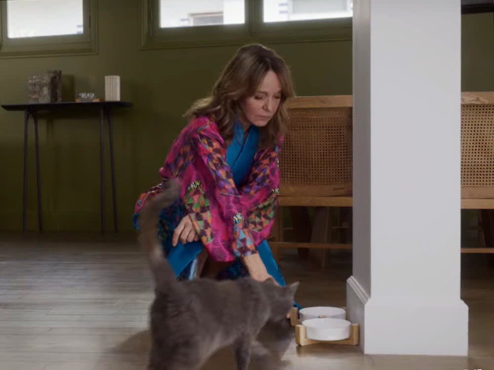 You Can't Buy Sylvie's Cat Bowl From Emily in Paris. Here's How to Nail the Look.