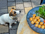 One Tater Tot Won't Kill Your Dog. The Fifth One Might Ruin Your Night.