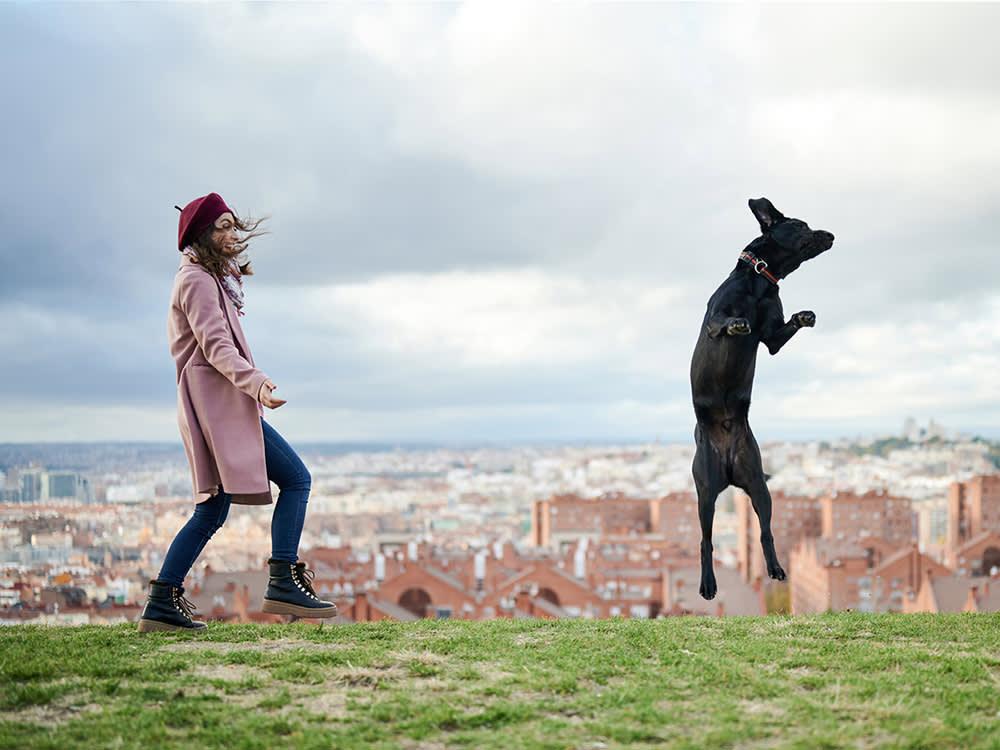 How to Actually Start Dancing With Your Dog (No Rhythm Required)