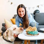 The '1 Dog Year = 7 Human Years' Rule Is Made Up. Here's the Real Math.
