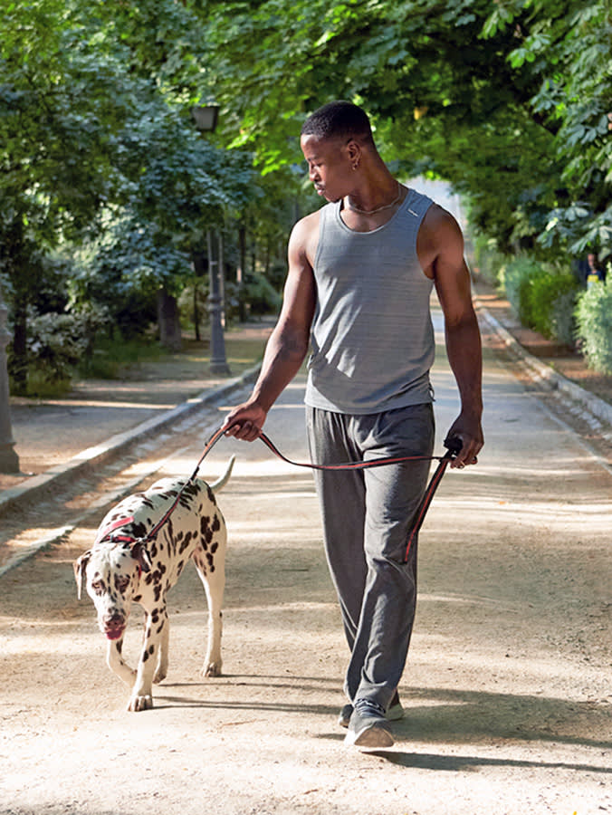 The Walk Isn't Cardio. 9 Myths That Ruin It.