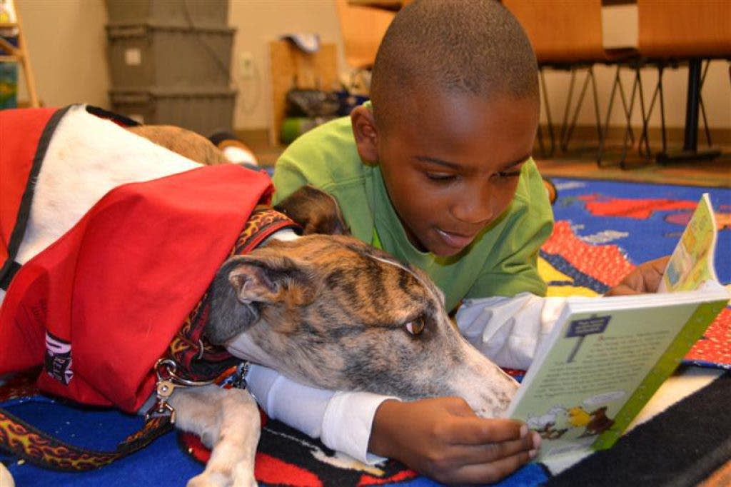 A Therapy Dog Isn't a Service Dog. Here's Where They Do Their Best Work.