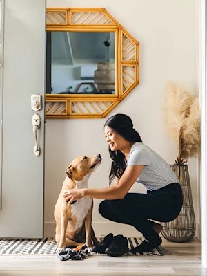 7 Dog-Care Shortcuts That Buy Back the Time You'd Rather Spend Playing