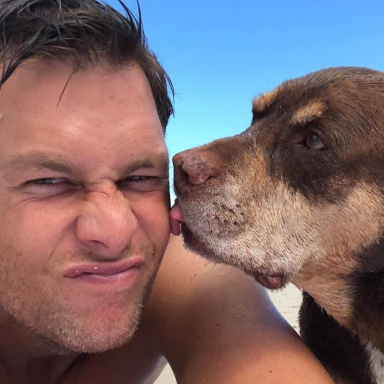 Tom Brady Rescued a Shelter Pit Bull. Then He Made a Copy of Her.