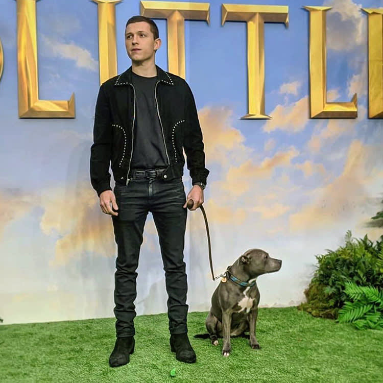 A Movie Star Posted a Photo of His Dead Dog. Millions of People Understood Exactly Why.