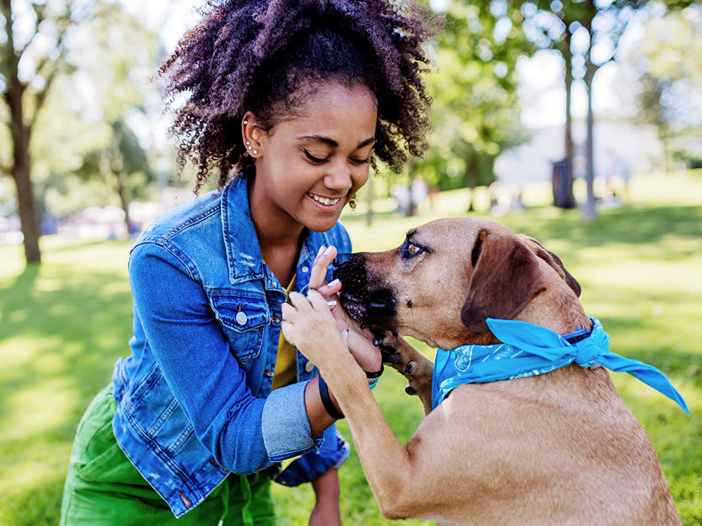 Your Rescue Dog Isn't Being Difficult. They're Decompressing.
