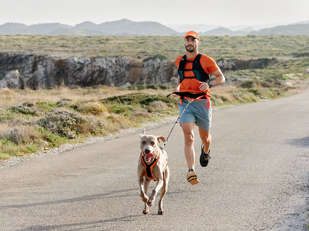 Forget the Sled: Your Dog Wants to Pull You Down the Trail