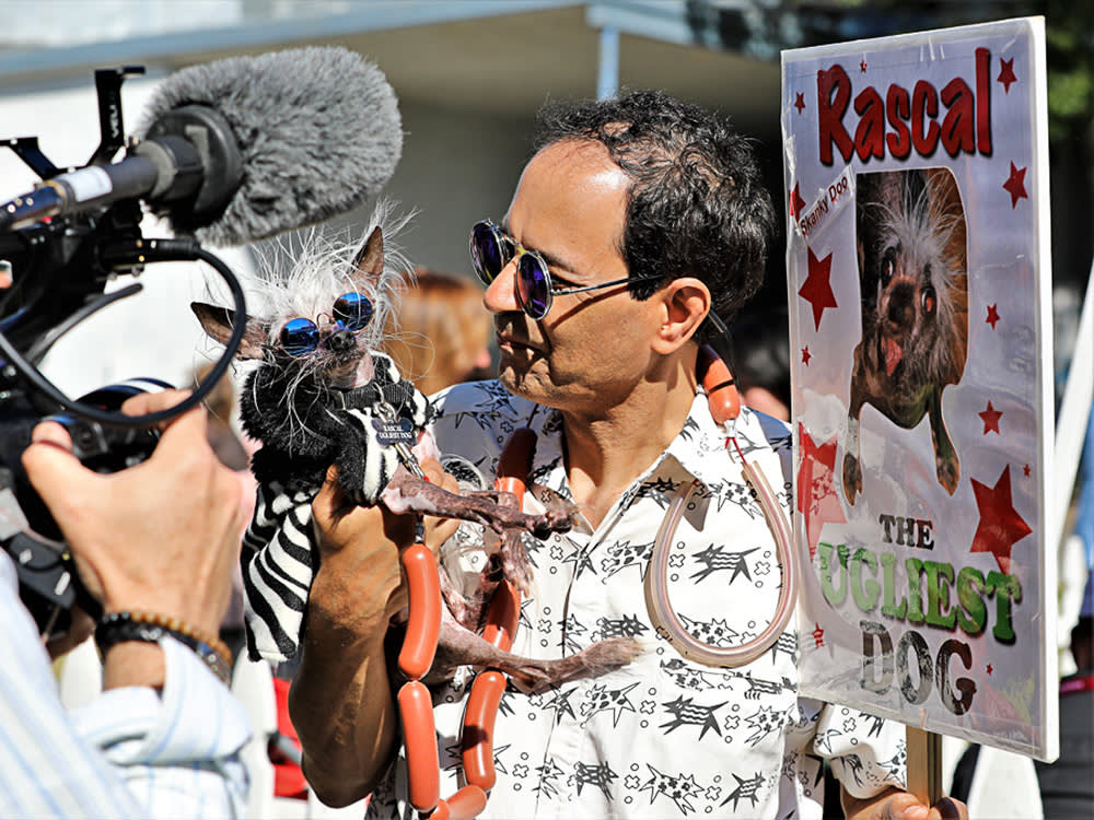 The "World's Ugliest Dog" Winners Aren't Ugly. They're Evidence.