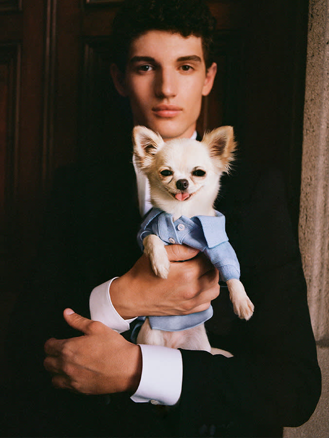 8 Absurd Things the Ultra-Rich Actually Buy Their Pets