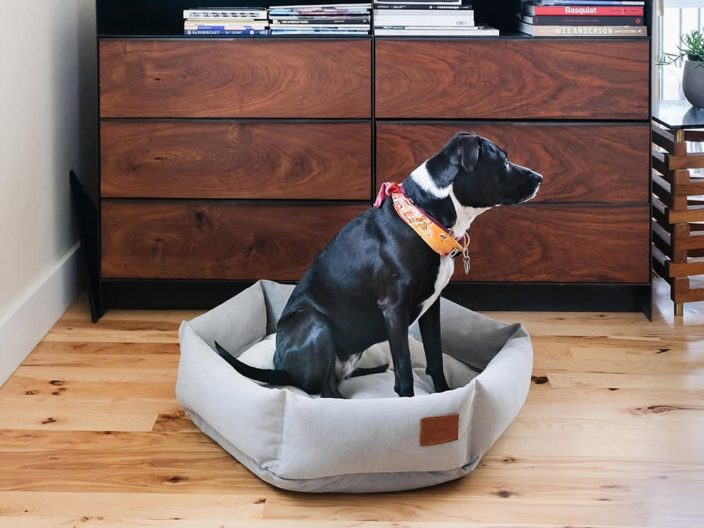 Velvet Hippo memory foam dog bed — close-up of materials