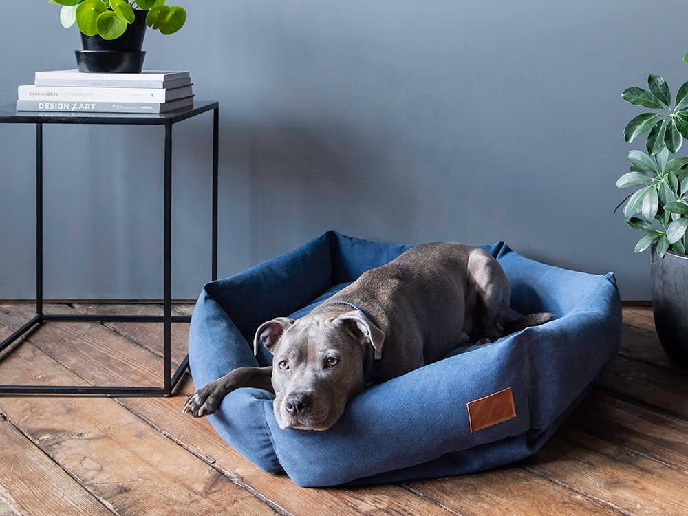 Velvet Hippo behind the brand — team and products