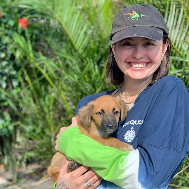 The Most Meaningful Hour of Your Vacation Might Be Spent Walking Shelter Dogs