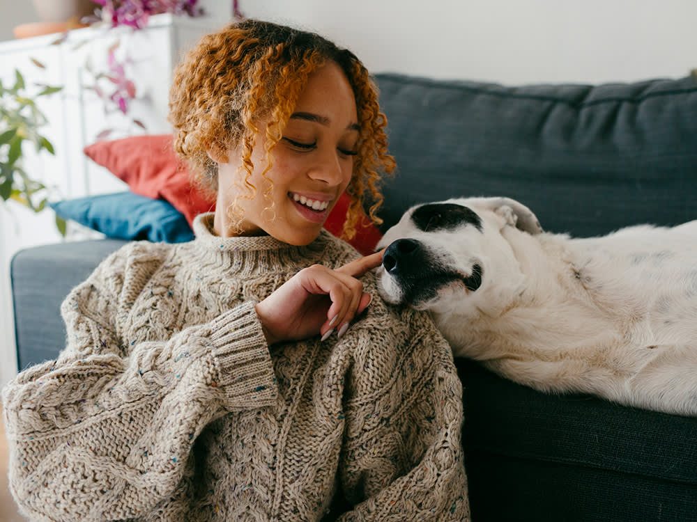 Fostering a Dog? The First 3 Days Matter More Than the Next 3 Months.
