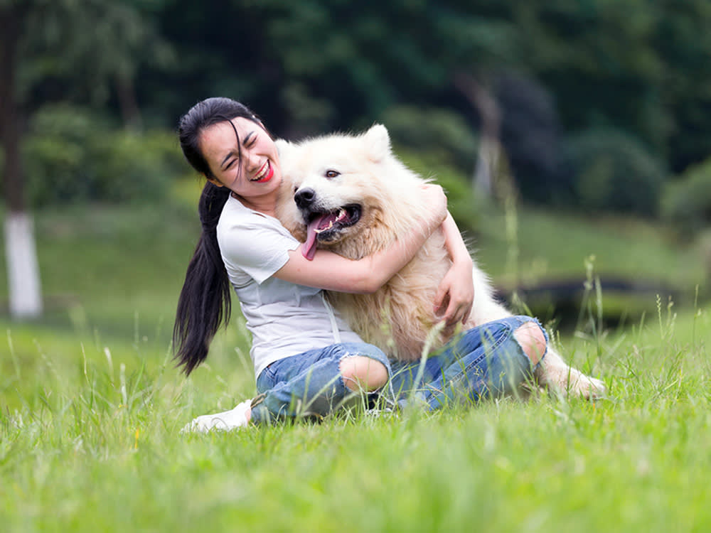 Scientists Wired People to an EEG to See What Dogs Do to Your Brain