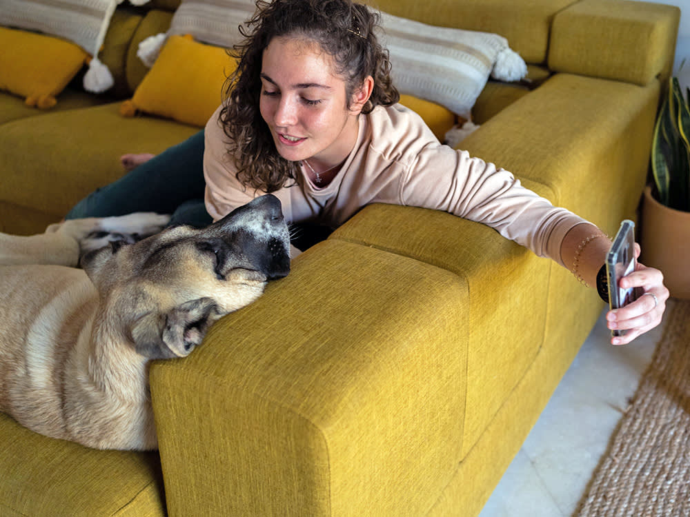 Stop Guessing What to Pay Your Dog Sitter. Here's the 2026 Going Rate