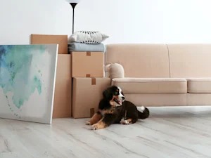 Your Dog Doesn't Care About Your Square Footage. It Cares About You.