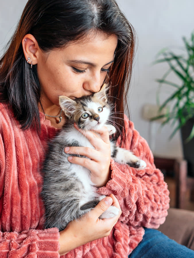 Your Kitten Stops Growing Months Before You Stop Feeding Them Like One