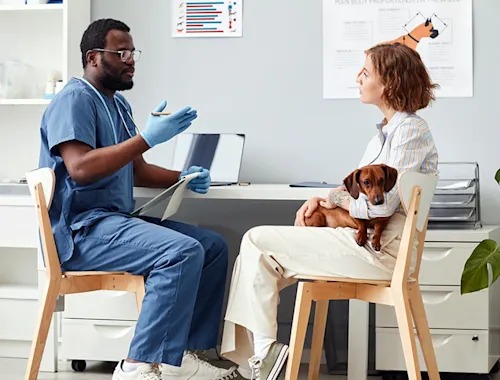 Leaving Your Vet Feels Like a Breakup. Here Are 5 Times You Should.