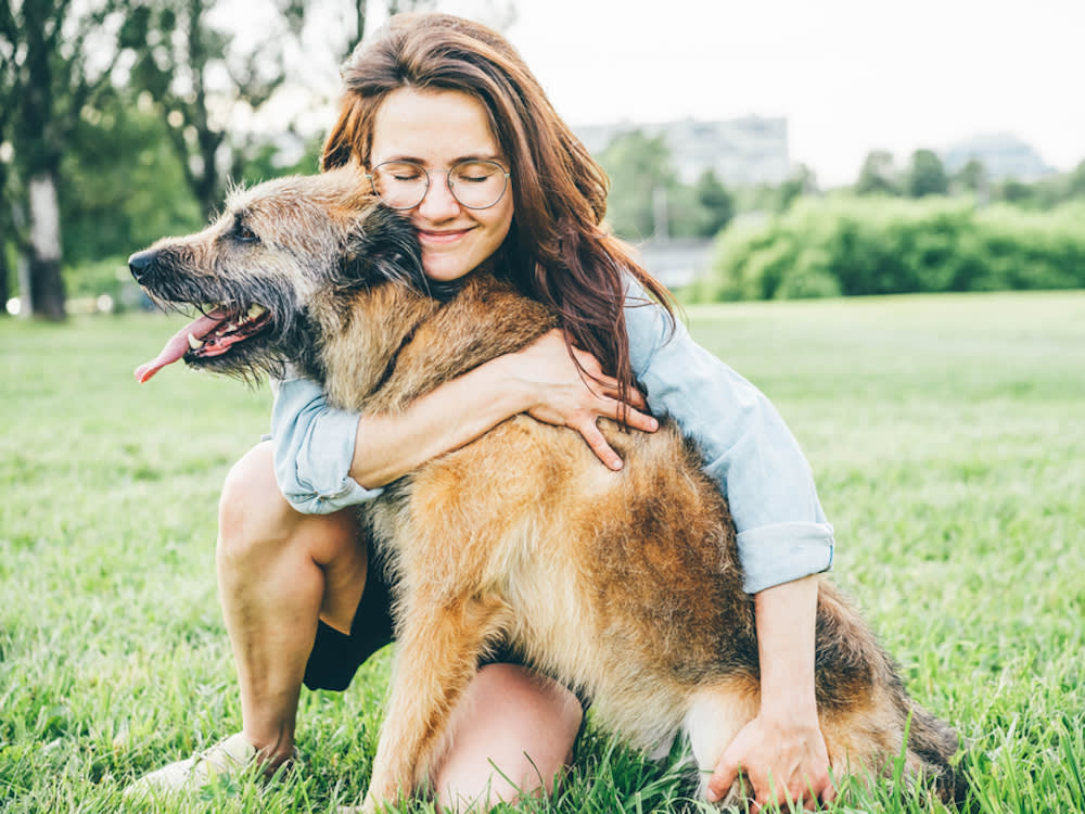 Senior Dog Adoptions Are Falling. Here's Exactly Where to Find One.
