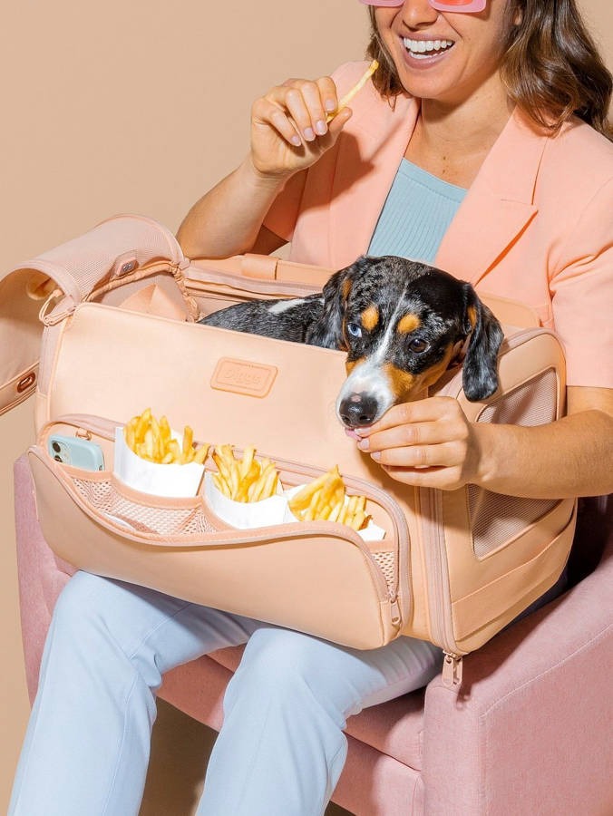 The $599 Dog Crate Isn't for Your Dog. It's for the Four Things Wire Crates Get Wrong.
