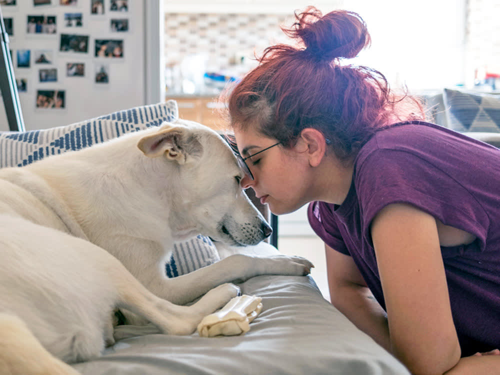 Pets Beat Therapists, Friends, and Family at Grief Support. One Study Explains Why.